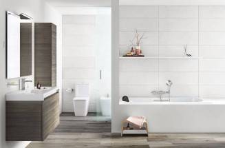 A comfort bathroom with Roca products