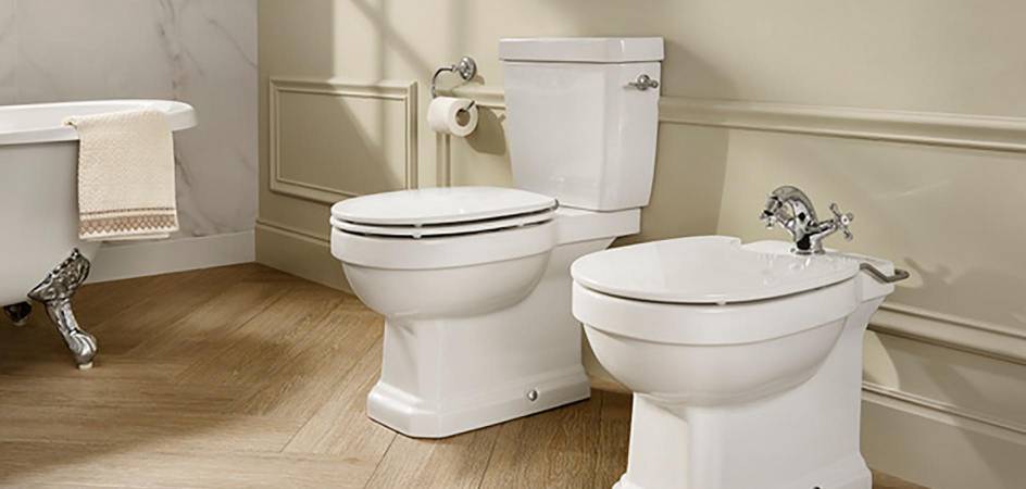 IDEAS TO BUY A TOILET